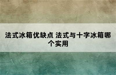 法式冰箱优缺点 法式与十字冰箱哪个实用